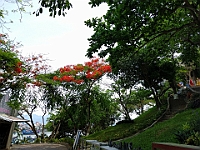 PHOTO 20160521 122905